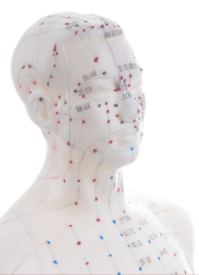 Traditional Chinese Medicine Five Elements diagram showing wood, fire, earth, metal and water